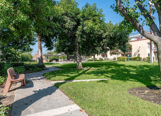 A park with a bench and trees at Oak Park Apartments, Monrovia, 91016