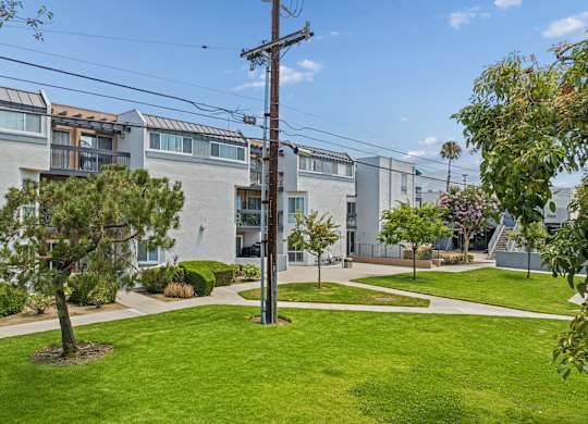 A grassy area in front of apartment buildings.