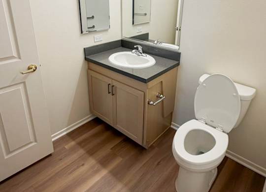 A white toilet sits next to a sink in a small bathroom.