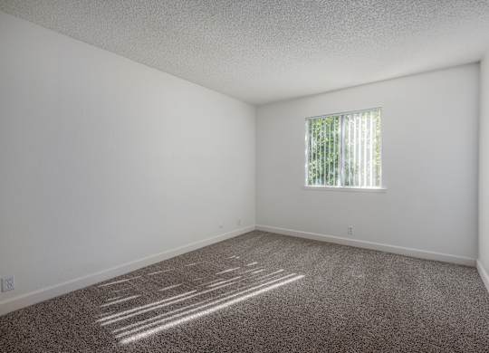 A room with a window and a carpeted floor.