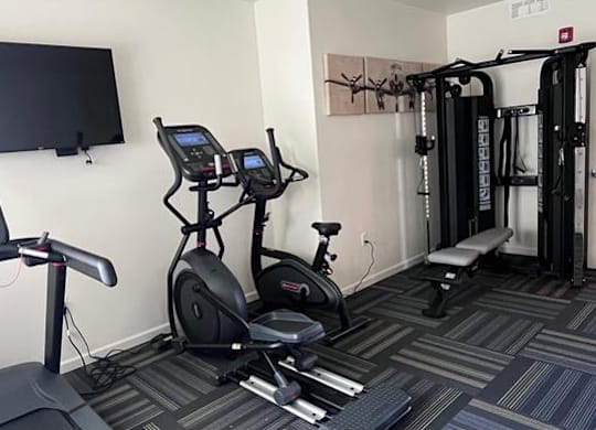 A gym with a treadmill, stationary bike, and a rowing machine.