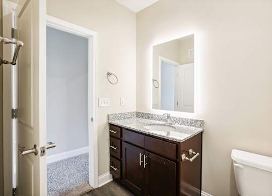 a bathroom with a sink and mirror and a toilet