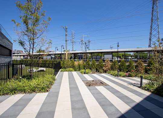 Dog Park at The Rail at Red Bank, New Jersey, 07701