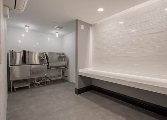Dog Wash at The Rail at Red Bank, Red Bank, NJ, 07701