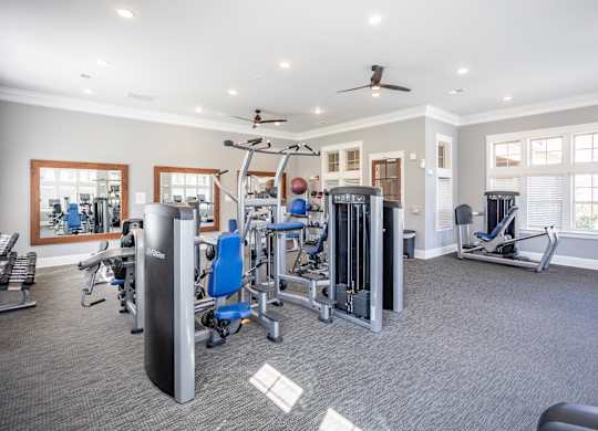 the gym at 1861 muleshoe road