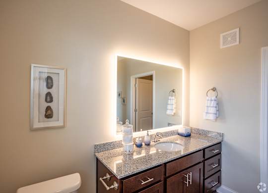 a bathroom with a sink and a large mirror