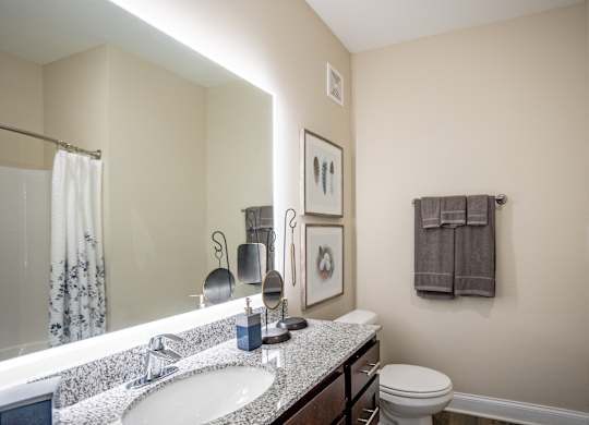 a bathroom with a large mirror and a sink and a toilet