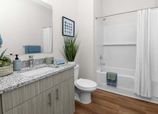A bathroom with a white toilet, a sink, and a shower.