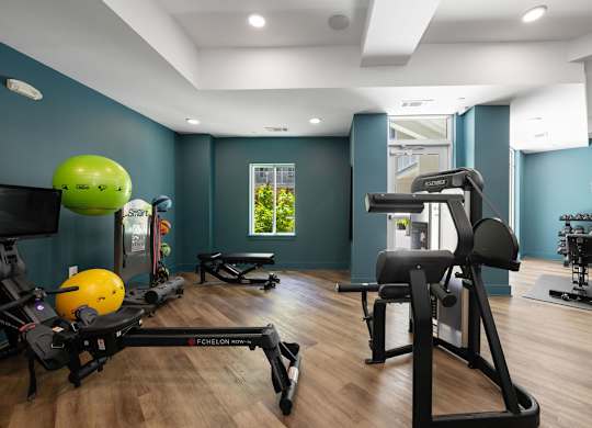 A gym with a variety of equipment including a treadmill, weights, and a bench.