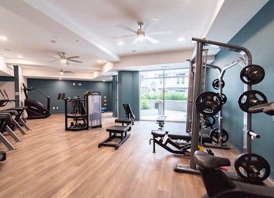 Novi's fitness centers feature a variety of equipment including treadmills, weights, and a bench press.