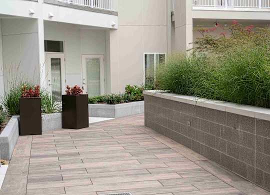 A patio area with a brick walkway and a low wall.