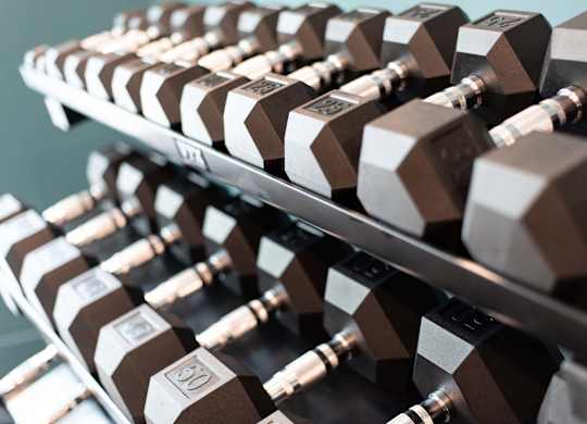 A rack of dumbbells at Novi Rise's fitness center