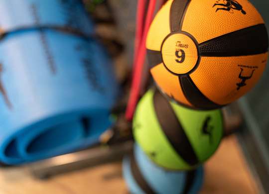 Novi's fitness centers offer a variety of equipment