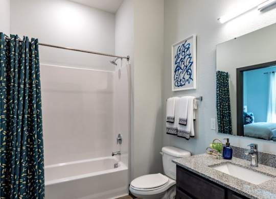 Bathroom With Bathtub at Vida Kannapolis, Kannapolis, NC