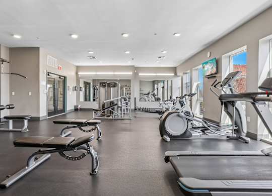 A spacious gym with treadmills, weights, and exercise equipment.