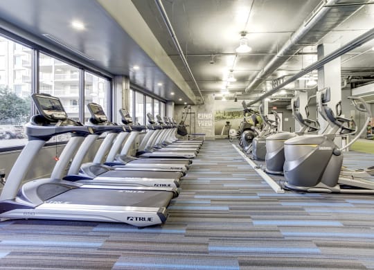 Renovated Apartment Rentals in Crystal City Arlington VA