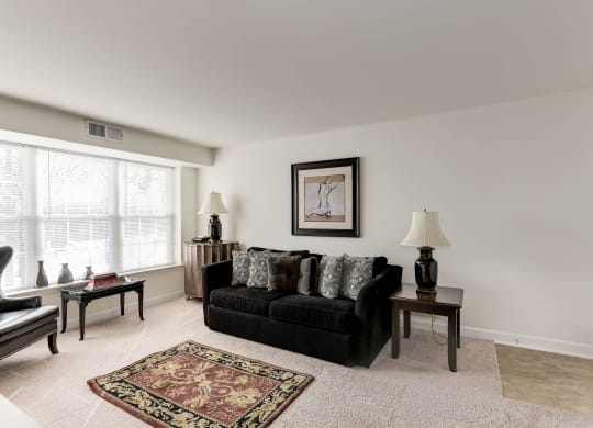 Great Apartment Rentals in National Landing Arlington VA