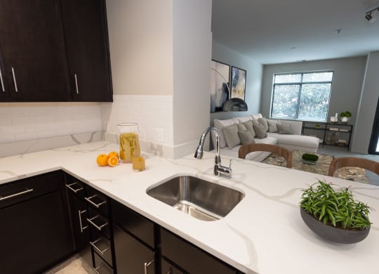 Best Apartment Rentals in Crystal City Arlington VA