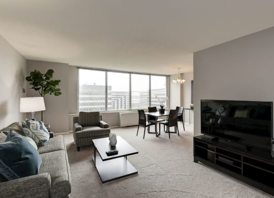 Renovated apartment rentals in Crystal City Arlington VA
