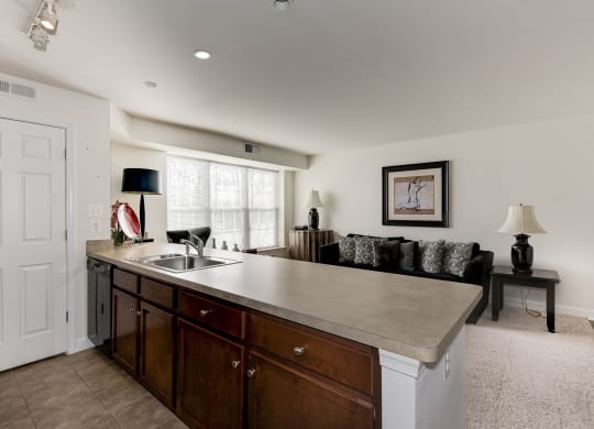 Luxury Apartment Rentals in National Landing Arlington VA