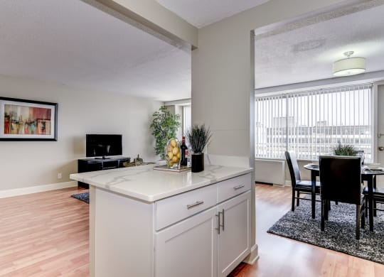 Modern apartment rentals in Crystal City Arlington VA