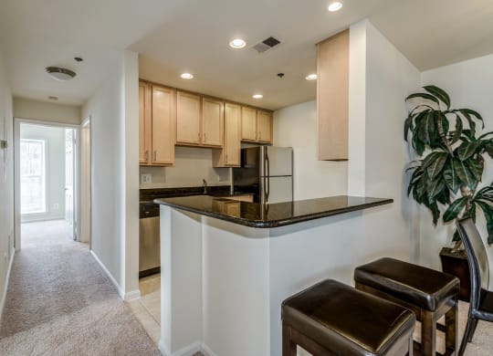 Luxury Apartment Rentals in Rosslyn VA