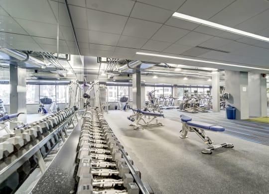 Spacious Apartment Rentals in Crystal City Arlington VA