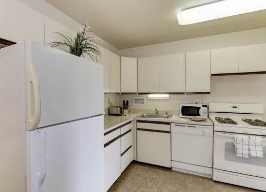 Apartment Rentals in Crystal City