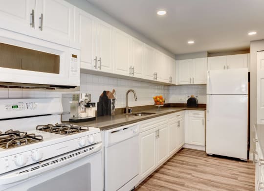 Modern Apartment Rentals in Crystal City VA