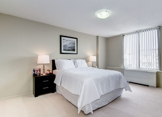 Apartment Rentals in Crystal City