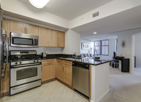 Modern Apartment Rentals in Pentagon City Arlington VA