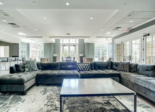 Spacious Apartment Rentals in National Landing Arlington VA