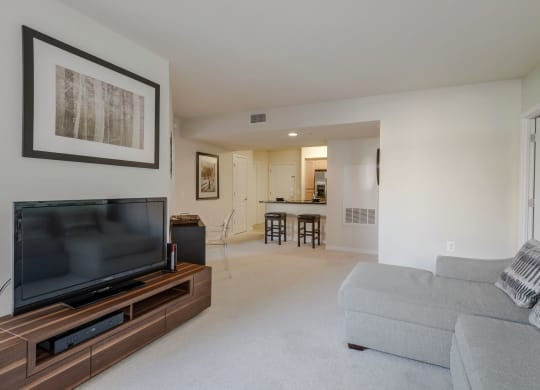 Nice Apartment Rentals in Pentagon City Arlington VA