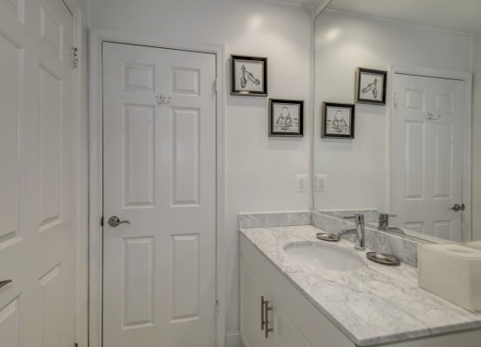Modern Apartment Rentals in Rosslyn VA