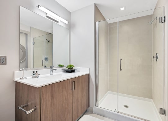 Apartments for rent in Crystal City