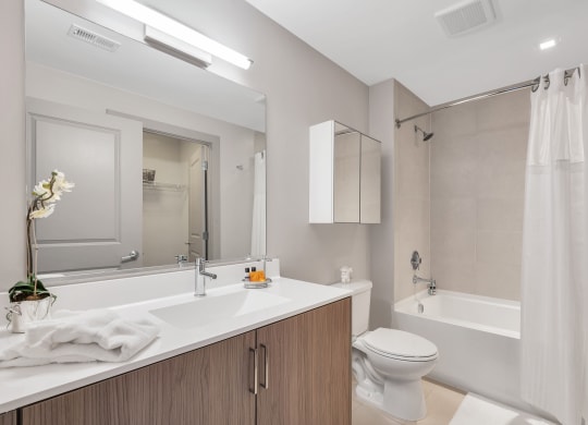 Apartments for rent in Crystal City