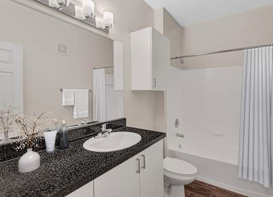 A bathroom with a sink, toilet, and shower.