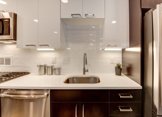 Glossy White and Espresso Cabinets at Crystal Square, Arlington, VA