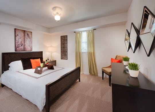 Modern Apartment Rentals in National Landing Arlington VA