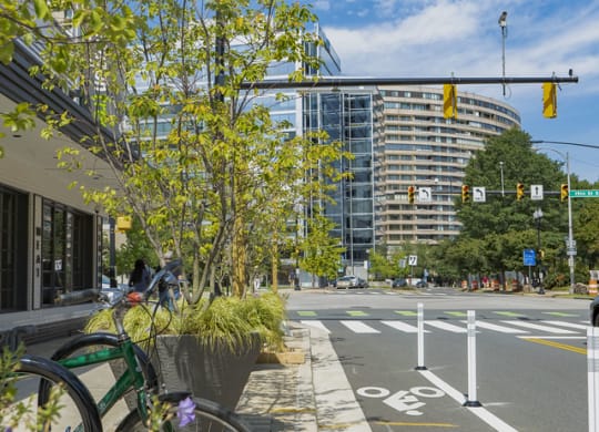 Apartments for rent in Crystal City