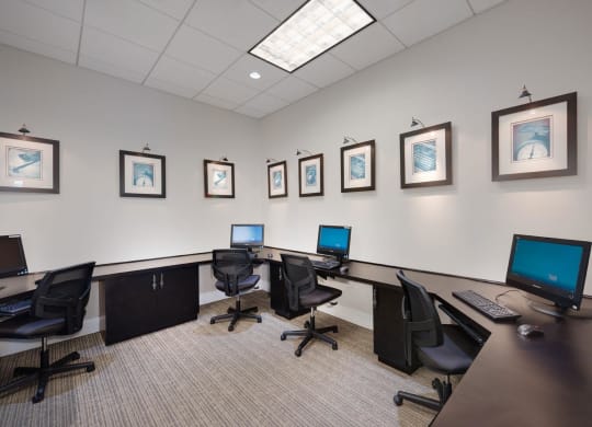 Spacious Apartment Rentals in National Landing Arlington VA