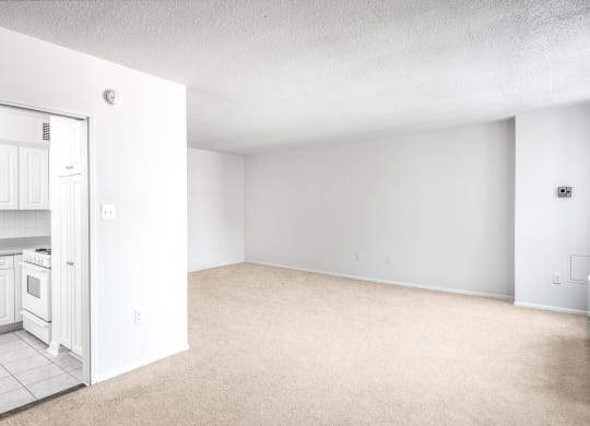 Apartments for rent in Crystal City