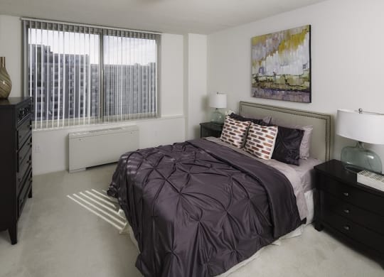 Spacious Apartment Rentals in Crystal City Arlington VA