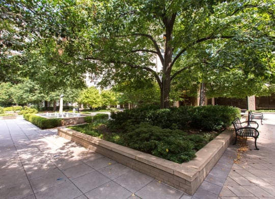 Best Apartment Rentals in Crystal City Arlington VA