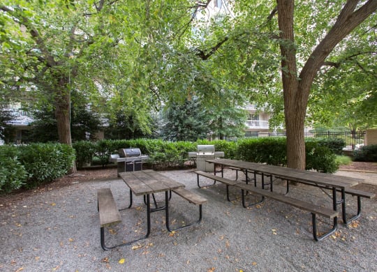 Modern Apartment Rentals in Crystal City Arlington VA