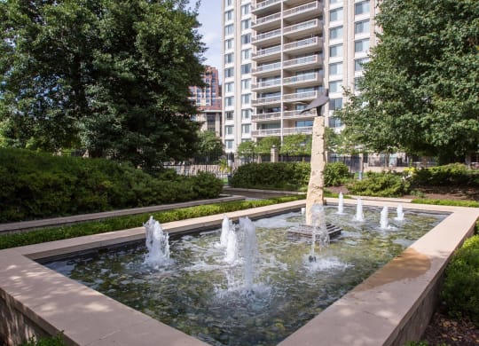 Spacious Apartment Rentals in Crystal City Arlington VA
