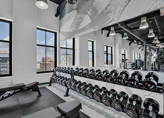 A gym with a row of dumbbells and a bench.