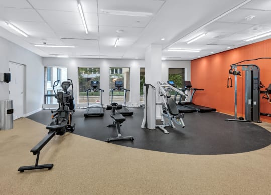 Modern Apartments in Crystal City, Arlington VA
