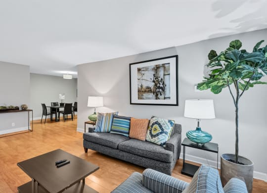 Apartments for rent in Crystal City, Arlington VA