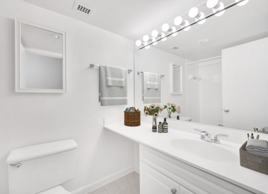 Apartments for rent in Crystal City